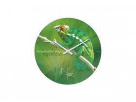 Часы настенные Nicole Time NT503 в Октябрьском - oktyabrskij.mebel-nsk.ru | фото